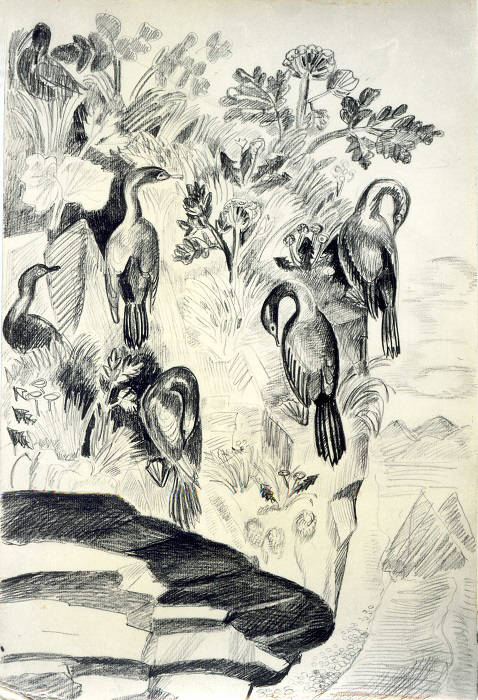 ''Гнездовья бакланов'', 1978 Бумага, акварель