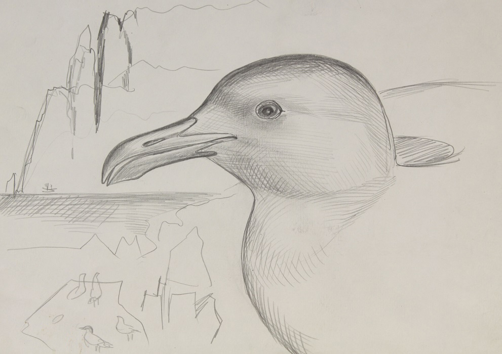 Голова чайки, 1971. Бумага, карандаш