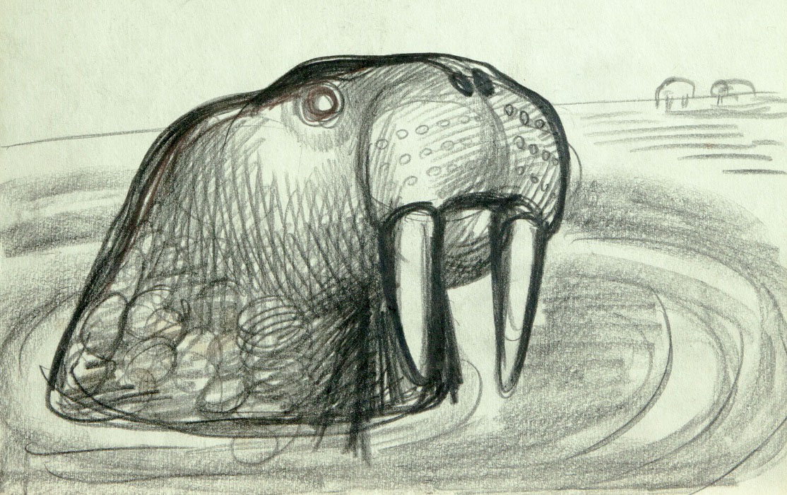''Любопытный морж'', 1971. Бумага, карандаш