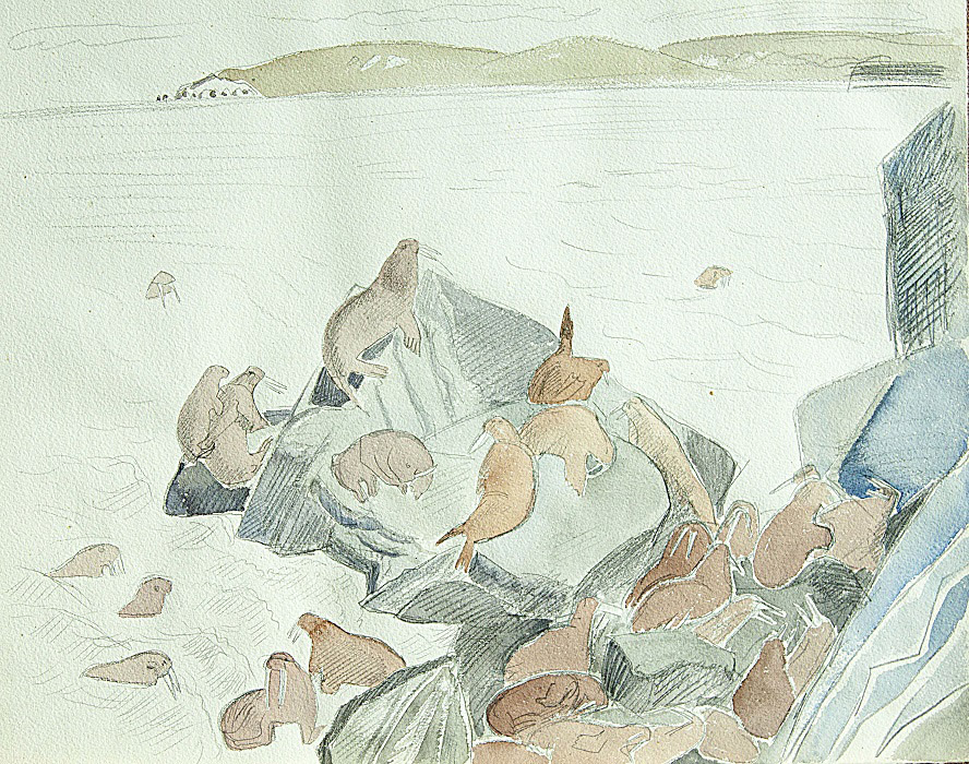 ''Моржи на скалах'', 1978. Бумага, акварель
