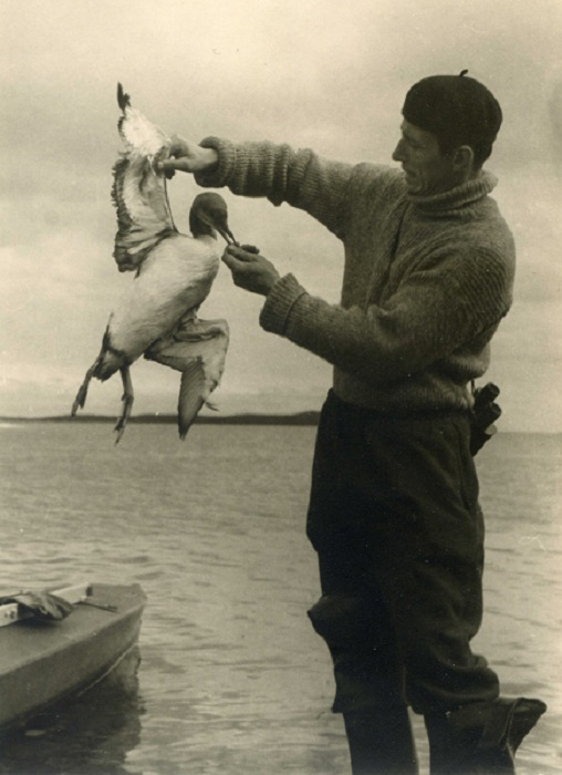 Скульптор Александр Белашов с черноклювой гагарой. Онежское озеро, 1962
