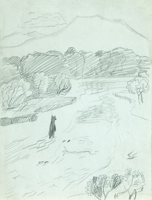 ''Молодой медведь высматривает горбушу'', 1976. Бумага, карандаш