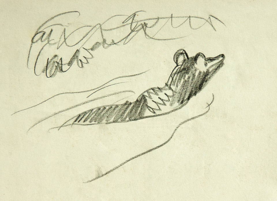 ''Медведь переплывает реку'', 1976. Бумага, карандаш