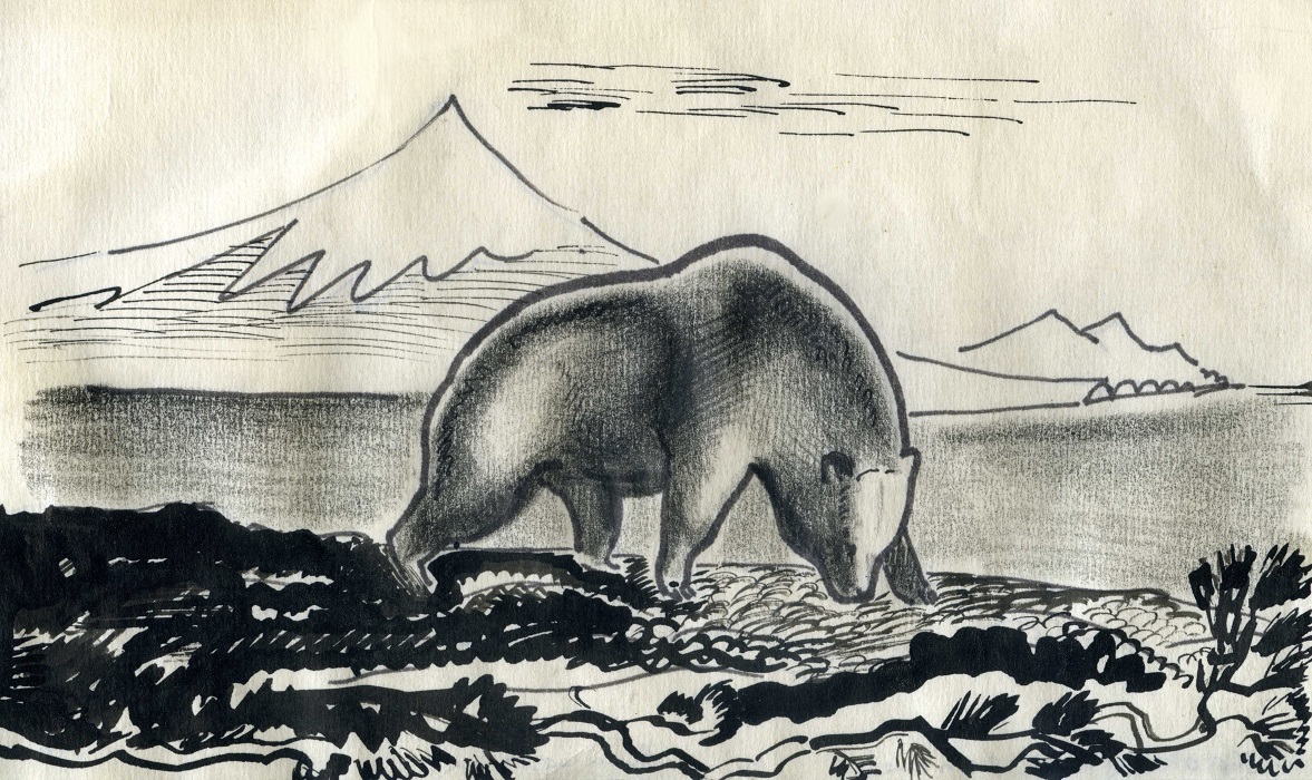 ''Главный в округе медведь'', 1976. Бумага, карандаш, тушь