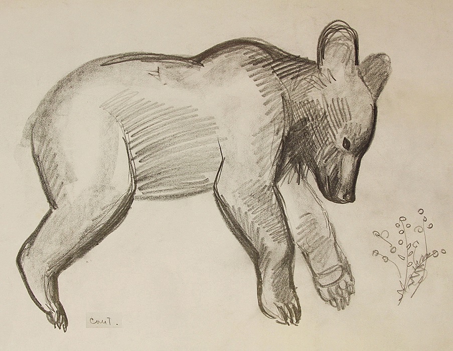''Медвежонок спит'', 1977. Бумага, карандаш
