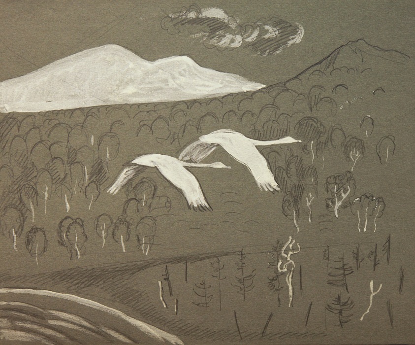 ''Лебеди Камчатки'', 1977. Бумага, карандаш, белила