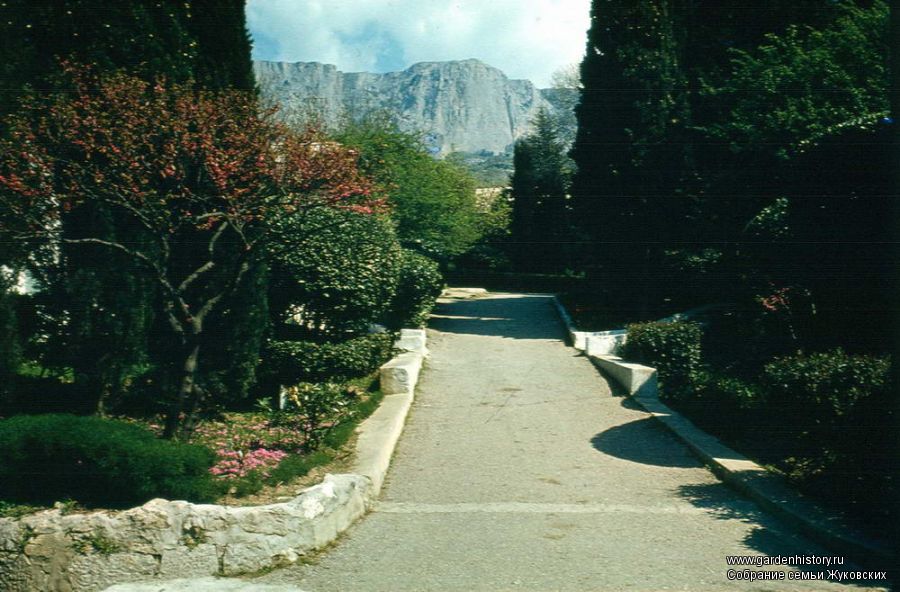 Новый Кучук-Кой. Вид на горы. Фото 1980-х гг. Собрание семьи Жуковских