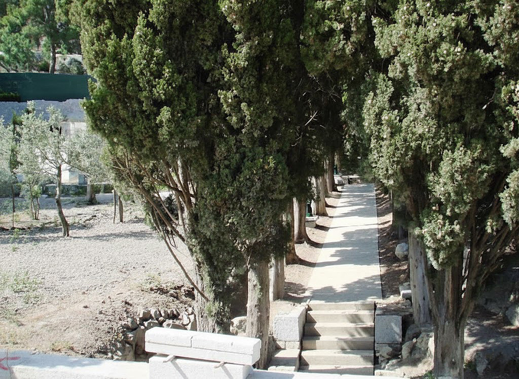 "Лестница Иакова" в Новом Кучук-Кое. Фото 2017 года