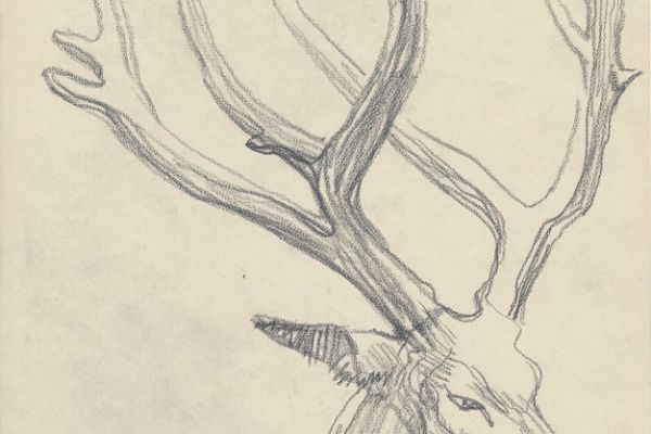 Олег Яновский. Московский зоопарк, 2001-2004. Бумага, карандаш. Фото из архива О. Яновского