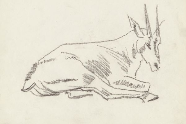 Олег Яновский. Московский зоопарк, 2001-2004. Бумага, карандаш. Фото из архива О. Яновского