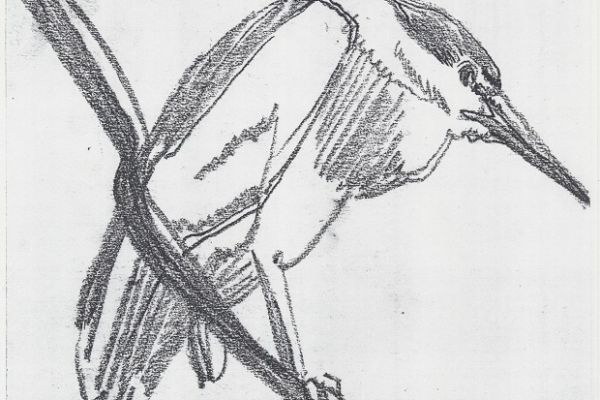 Олег Яновский. Московский зоопарк, 2001-2004. Бумага, карандаш. Фото из архива О. Яновского