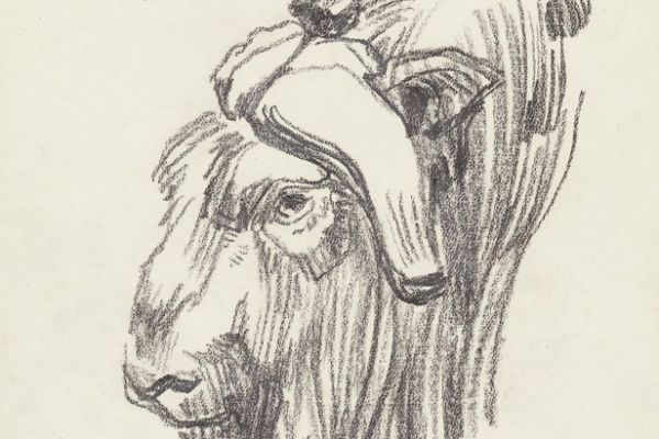 Олег Яновский. Московский зоопарк, 2001-2004. Бумага, карандаш. Фото из архива О. Яновского