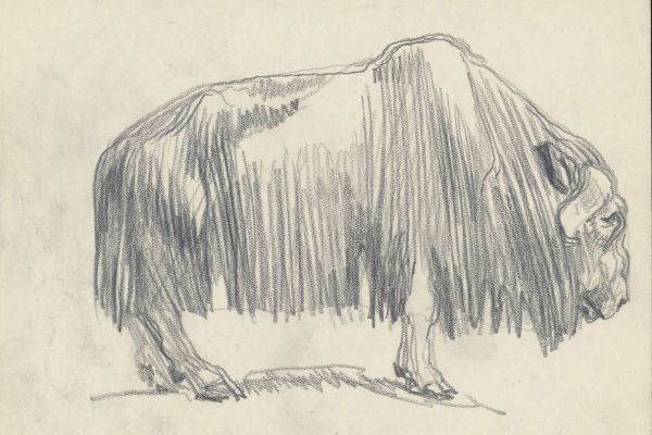 Олег Яновский. Московский зоопарк, 2001-2004. Бумага, карандаш. Фото из архива О. Яновского