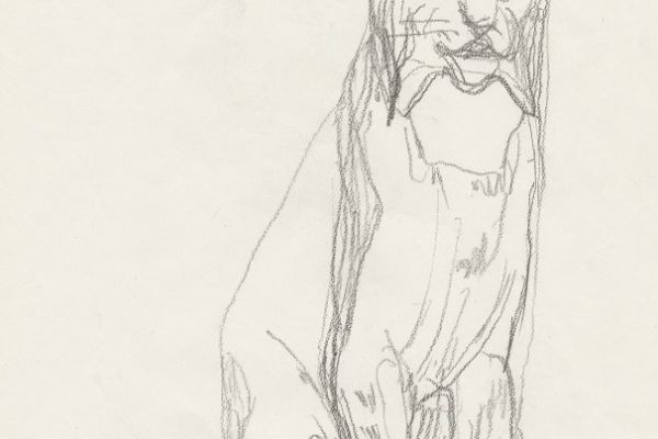 Олег Яновский. Московский зоопарк, 2001-2004. Бумага, карандаш. Фото из архива О. Яновского