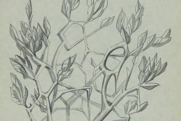 Олег Комов. Дерево, 1972. Бумага, карандаш, 29,7х21 см. Краснодарский краевой художественный музей имени Ф.А. Коваленко