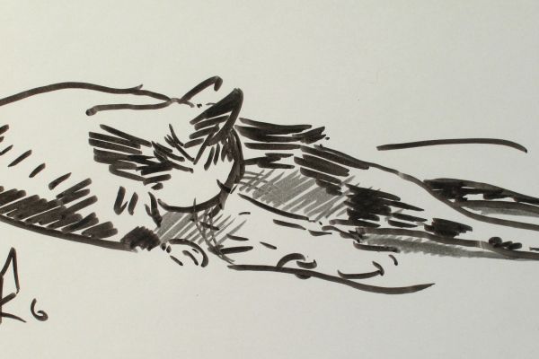 Сергей Малютов. Кошка 2, 2006. Мелованная бумага, гелиевая ручка. Фото из архива Сергея Малютова