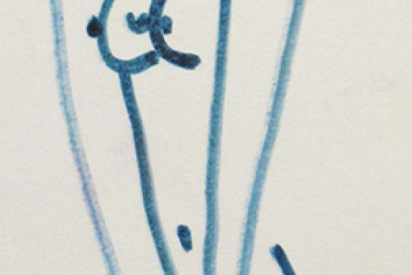 Сергей Малютов. Стоящая, 2006. Бумага, маркер,  30,8х7,2 см. Фото из архива Сергея Малютова