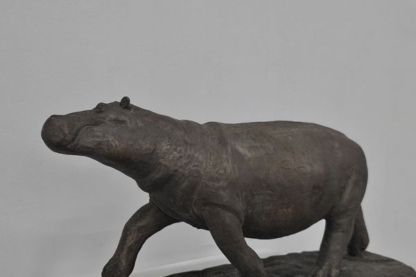 16802D27D6-3370-E49C-81D0-6D246B9D405D.jpg