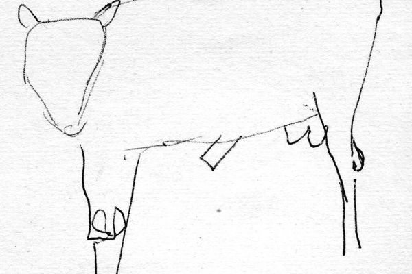 Владимир Потлов. Бычок, 1985. Бумага, тушь, перо, 10х12 см. Фото из архива Владимира Потлова