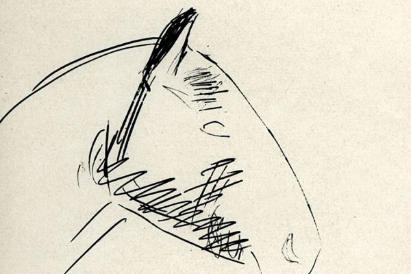 Владимир Потлов. Голова лошади в профиль, 1987. Бумага, тушь, перо, 10х9 см. Фото из архива Владимира Потлова