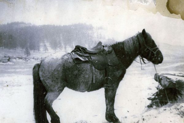 Владимир Потлов. Моя  любимая натурщица, 1985. Фото, тушь, 20х23 см. Фото из архива Владимира Потлова