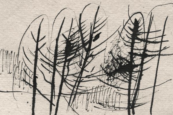 Владимир Потлов. Лиственницы, 1985. Бумага, тушь, перо, 10х15 см. Фото из архива Владимира Потлова