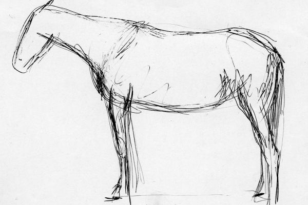 Владимир Потлов. Лошадка, 1985. Бумага, тушь, перо, 10х15 см. Фото из архива Владимира Потлова