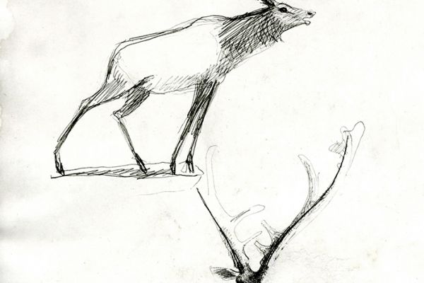 Владимир Потлов. Маралы, 1987. Бумага, шариковая ручка, 29х17 см. Фото из архива Владимира Потлова