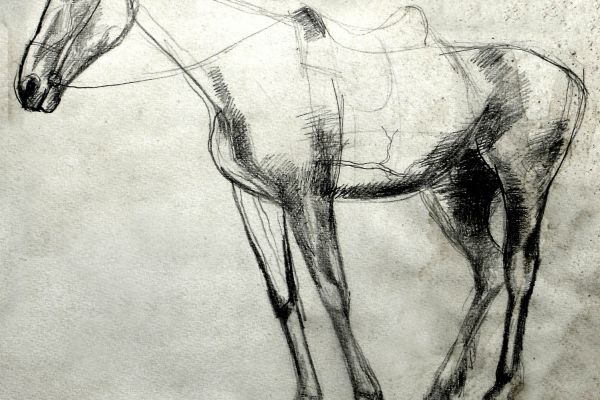 Владимир Потлов. Оседланная лошадь, 1985. Бумага, карандаш, 34х51 см. Фото из архива Владимира Потлова