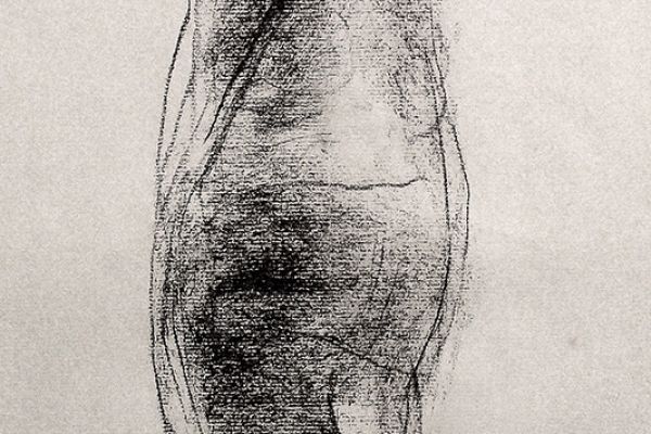 Владимир Потлов. Купальщица 4, 2022. Бумага, соус. 60х28 см. Фото из архива Владимира Потлова