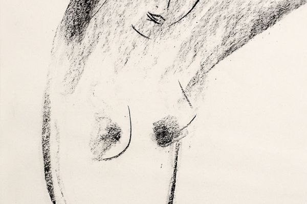 Владимир Потлов. За туалетом, 2021. Бумага, уголь. 60х40 см. Фото из архива Владимира Потлова