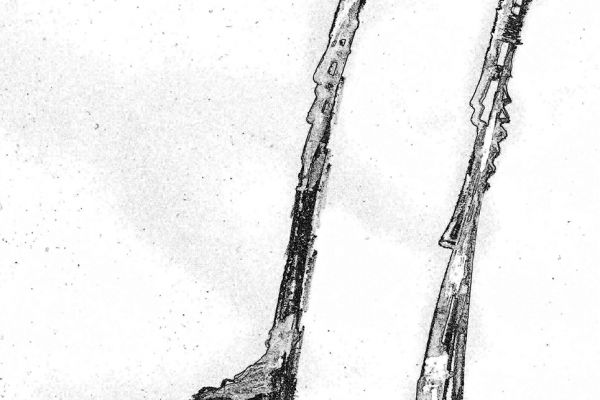 Владимир Потлов. Король и Королева, 2009. Эскиз 5. Фото из архива Владимира Потлова