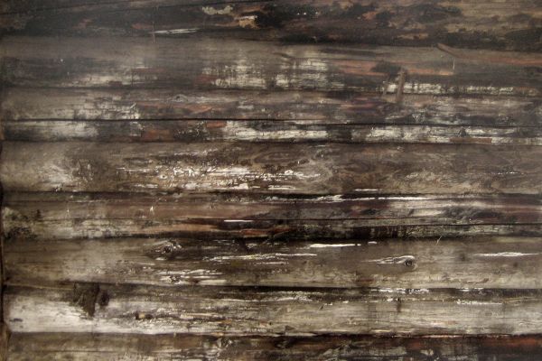 Владимир Потлов. Старый сарай. Эскиз. Фото из архива Владимира Потлова