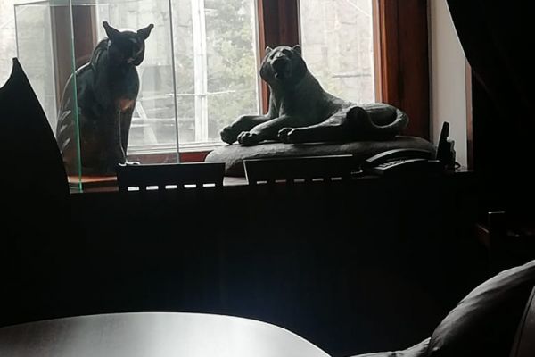 43B0AAA793-34BD-7AA3-342E-BB363206F131.jpeg