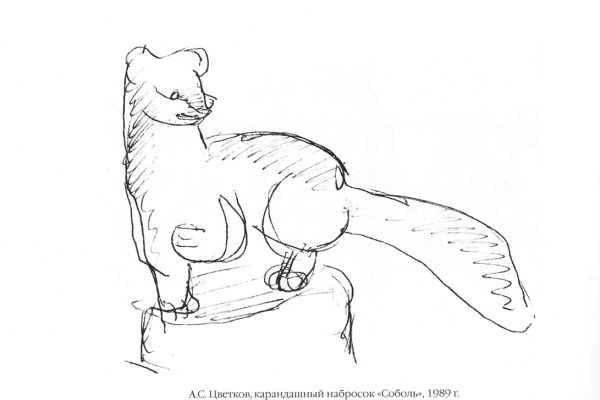 Алексей Цветков. Соболь, 1989. Бумага, карандаш