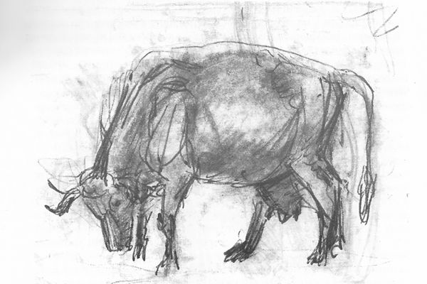 Алексей Цветков. Корова пасущаяся, 1991. Бумага, карандаш