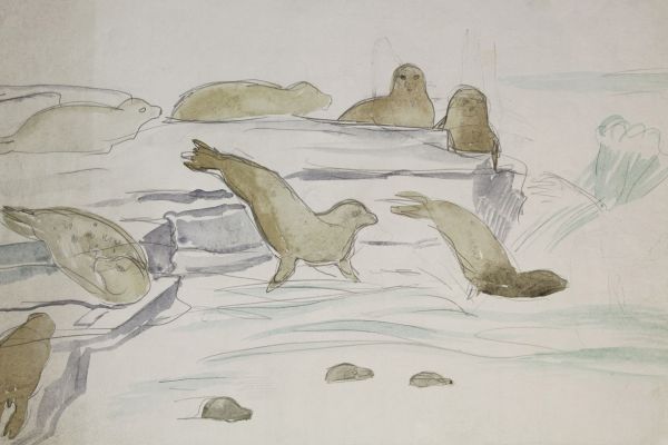 Александр Белашов. Морские зайцы, 1979. Бумага, акварель. Фото из архива А.А. Белашова