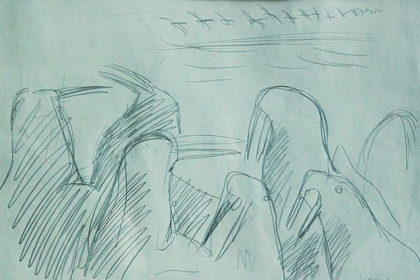 Александр Белашов. Лебеди побеспокоили моржей, 1978. Бумага, карандаш. Чукотка. Фото из архива А.А. Белашова