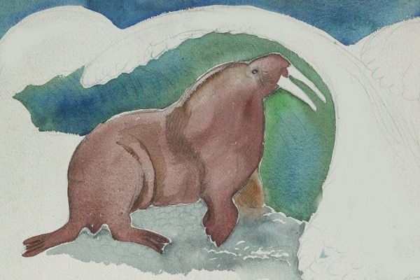 Александр Белашов. Морж уходит в море, 1979. Бумага, акварель. Чукотка. Фото из архива А.А. Белашова