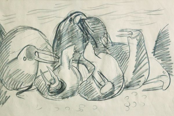 Александр Белашов. Морж вылезает из моря, 1978. Бумага, карандаш. Чукотка. Фото из архива А.А. Белашова