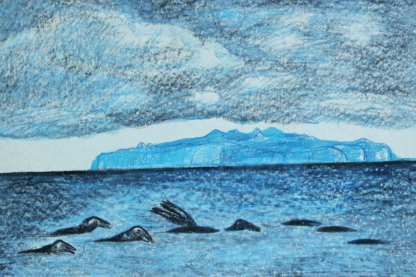 Александр Белашов. Моржи в море, 1971. Бумага, восковая пастель. Чукотка. Фото из архива А.А. Белашова