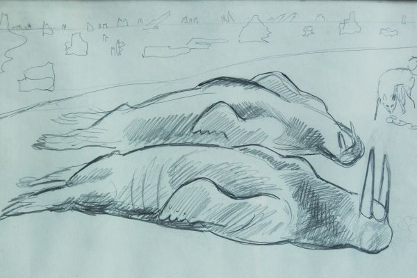 Александр Белашов. Убитые моржи, 1971. Бумага, карандаш. Чукотка. Фото из архива А.А. Белашова