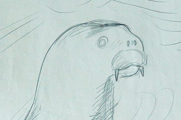 Александр Белашов. Молодой морж вынырнул у лодки, 1971. Бумага, карандаш. Чукотка. Фото из архива А.А. Белашова