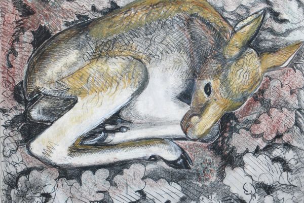 Александр Белашов. Лосенок, 1975. Бумага, карандаши. Фото из архива А.А. Белашова