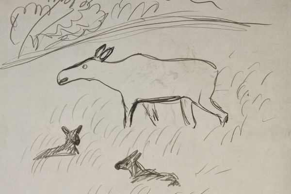 Александр Белашов. Лосиха с лосятами, 1975. Бумага, карандаш. Набросок в Клещинах Новгородской области. Фото из архива А.А. Белашова