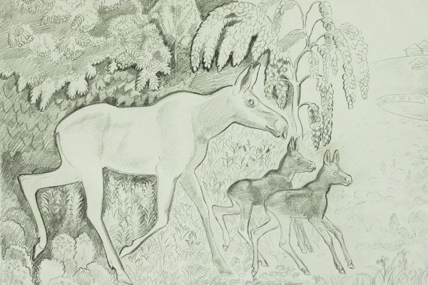 Александр Белашов. Лосиха с лосятами, 1990. Бумага, карандаш. Набросок в деревне Клещины Новгородской области