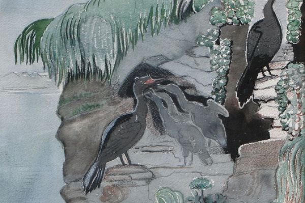Александр Белашов. Краснолицые бакланы на скалах, 1987. Бумага, акварель. Фото из архива А.А. Белашова