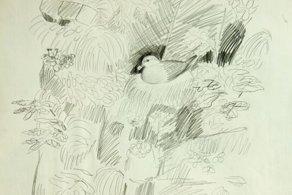 Александр Белашов. Моевка, 1982. Бумага, карандаш. Фото из архива А.А. Белашова