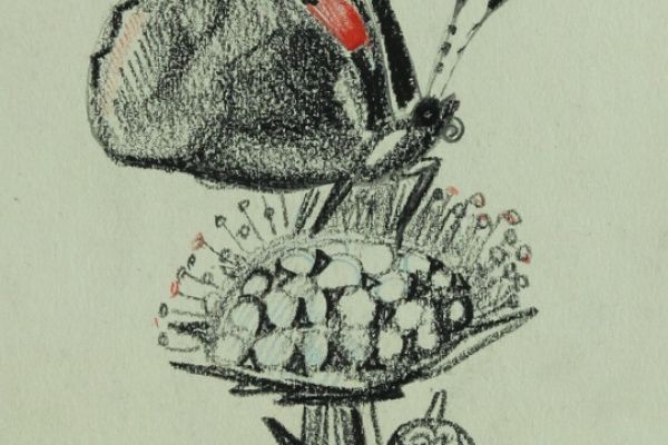 Александр Белашов. Рисунок из альбома летних прогулок. Бумага, карандаши. Фото из архива А.А. Белашова