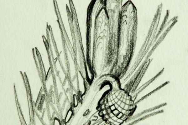 Александр Белашов. Рисунок из альбома летних прогулок, 2002. Бумага, карандаш. Фото из архива А.А. Белашова